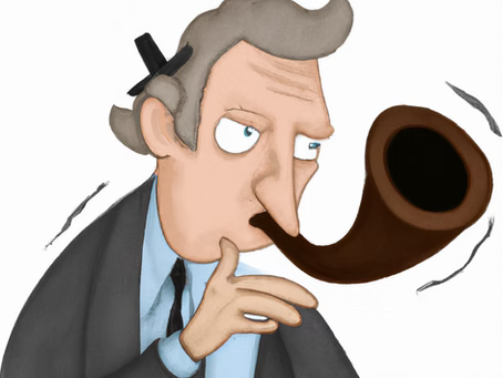 Lärmschutzvorhänge ... Vorsicht vor Betrügern!!! - Cotton Silence